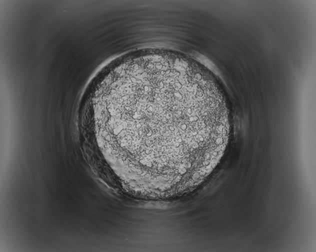 X0000084581068200703231838