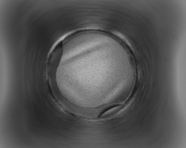 X0000084581069200703231838
