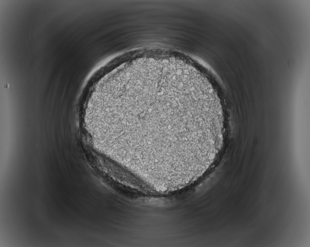 X0000084581070200703231838