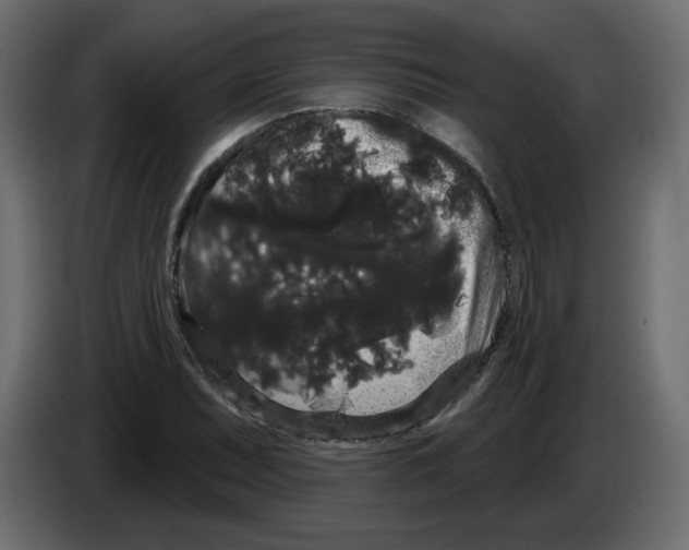 X0000084581071200703231838