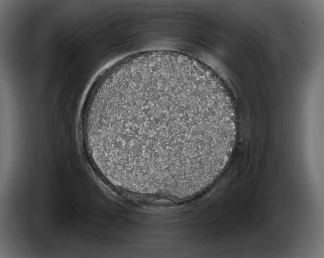 X0000084581072200703231838