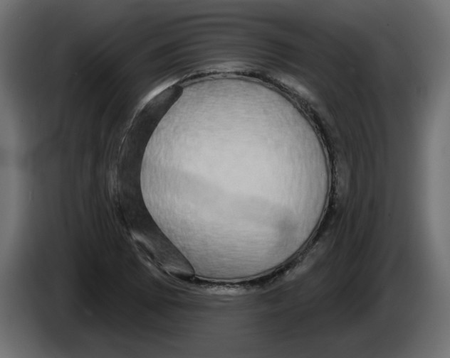 X0000084581073200703231838