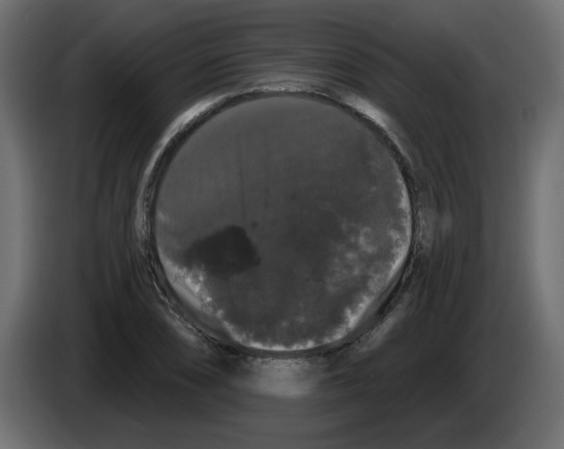 X0000084581074200703231838