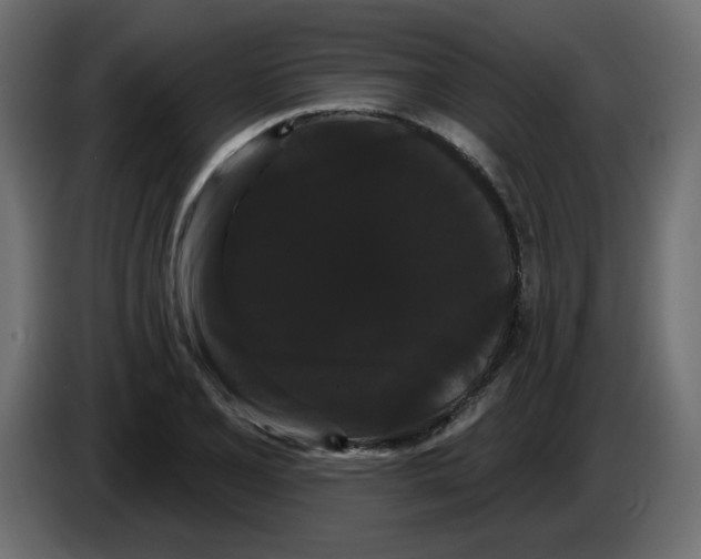 X0000084581077200703231838