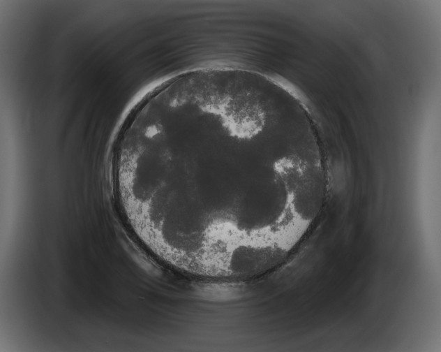 X0000084581078200703231838