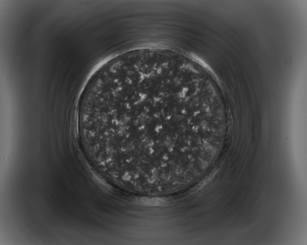 X0000084581079200703231838