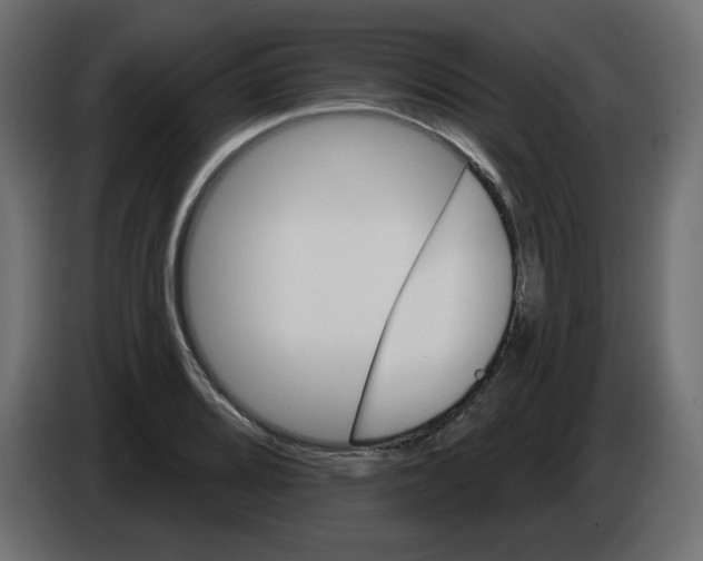 X0000084581080200703231838