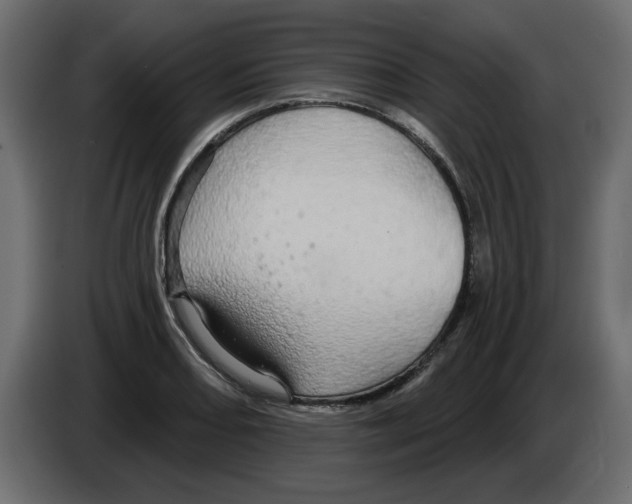 X0000084581082200703231838