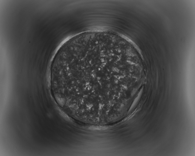 X0000084581083200703231838
