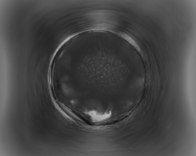 X0000084581084200703231838