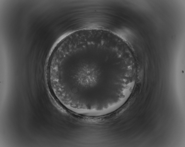 X0000084581086200703231838