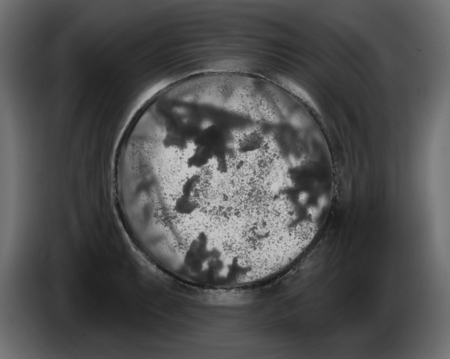 X0000084581087200703231838