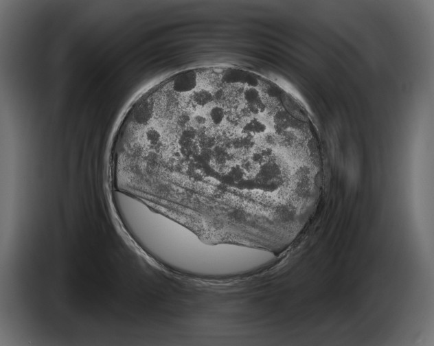 X0000084581088200703231838