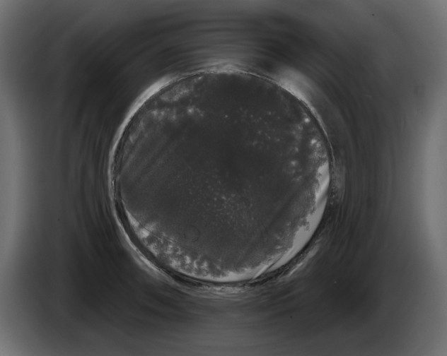 X0000084581090200703231838