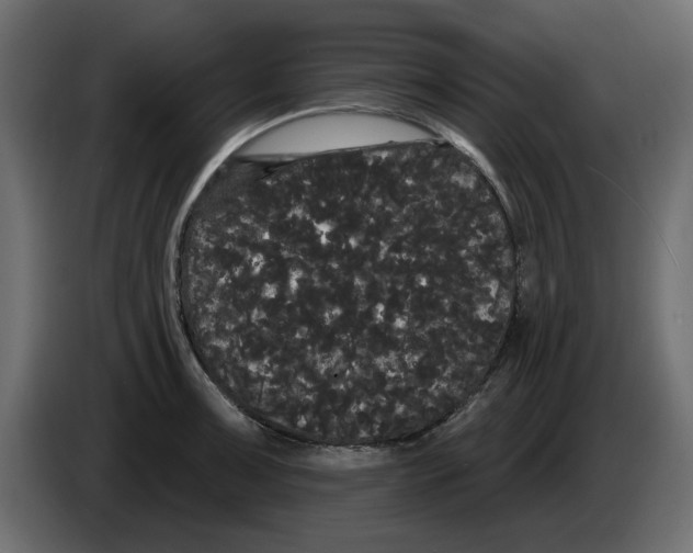 X0000084581091200703231838