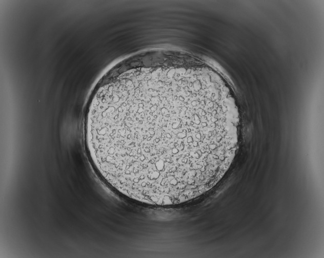 X0000084581092200703231838