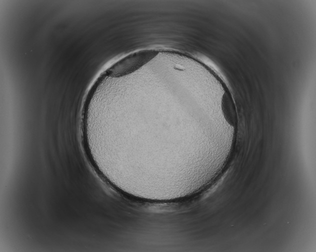 X0000084581093200703231838