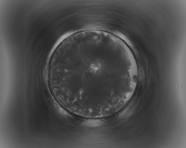 X0000084581094200703231838