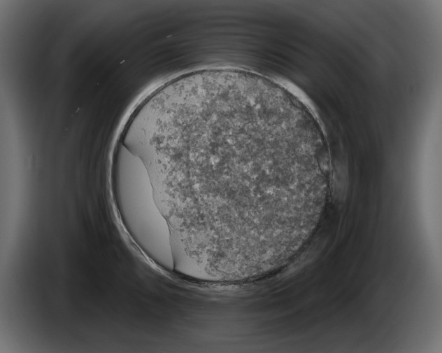 X0000084581096200703231838