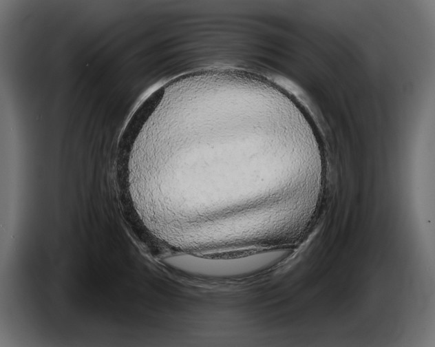 X0000084581097200703231838