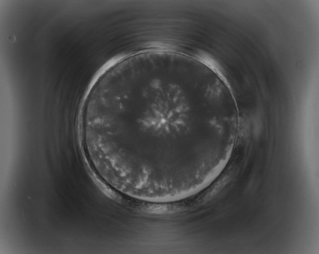 X0000084581098200703231838