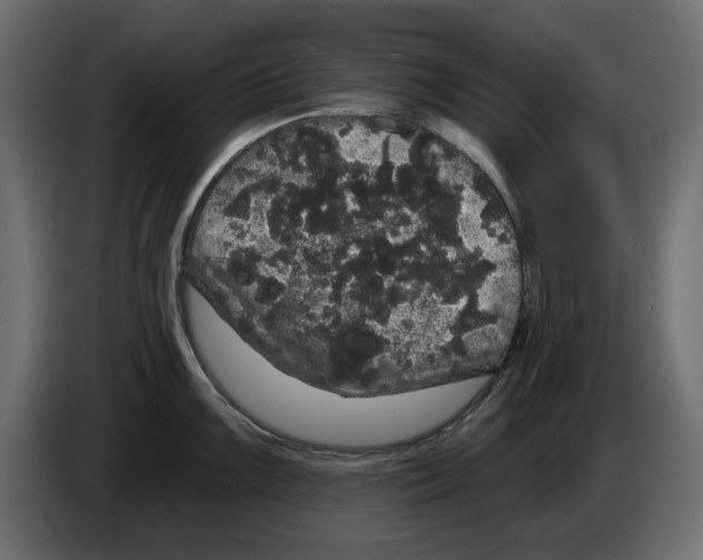 X0000084581099200703231838