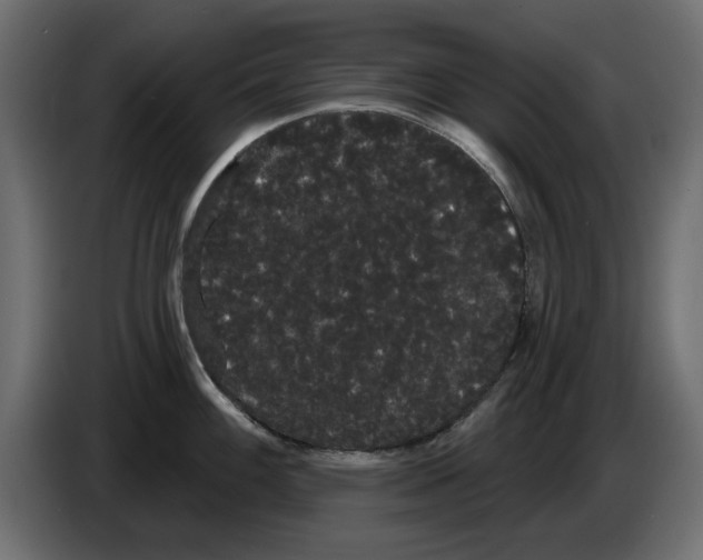 X0000084581100200703231838