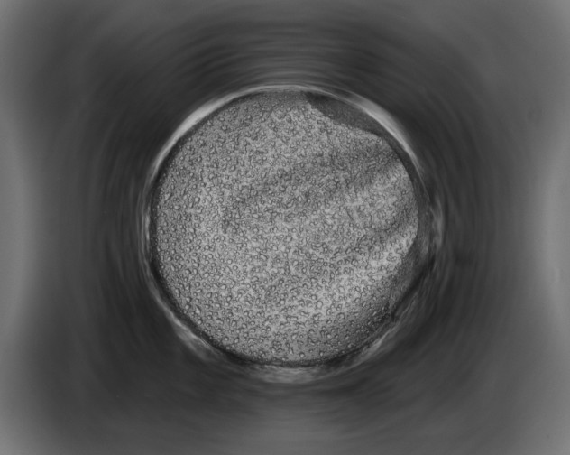 X0000084581101200703231838