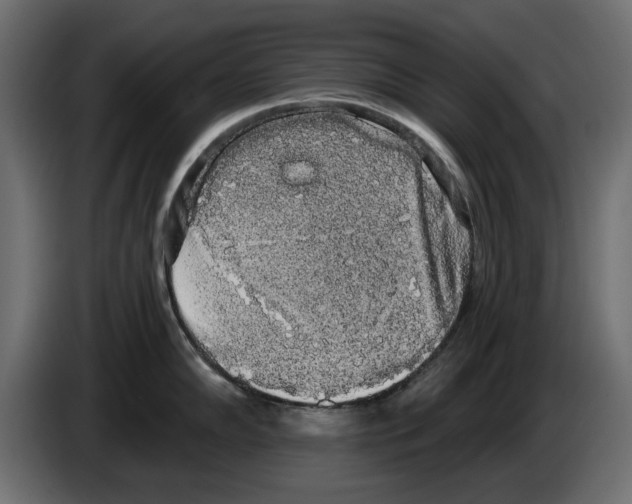 X0000084581102200703231838