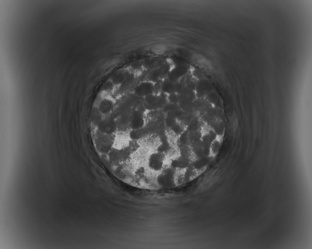 X0000084581105200703231837