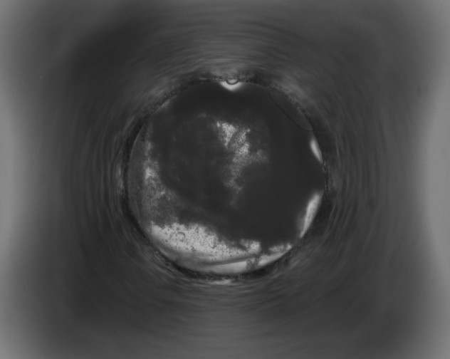 X0000084581106200703231837
