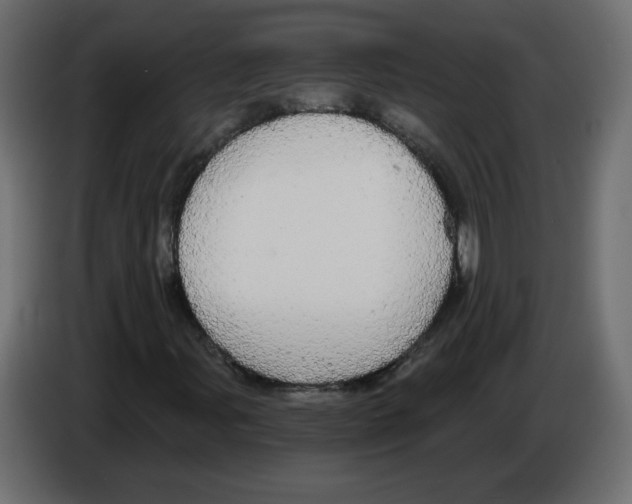 X0000084581107200703231837