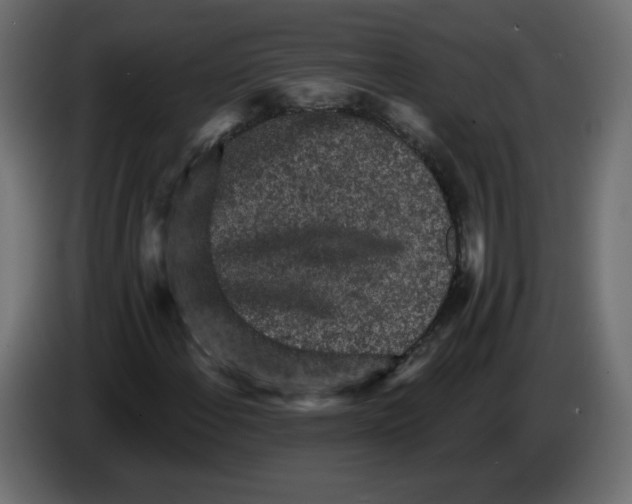 X0000084581108200703231837