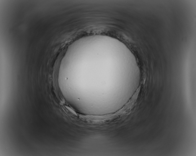 X0000084581109200703231837