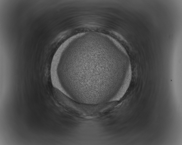 X0000084581110200703231837