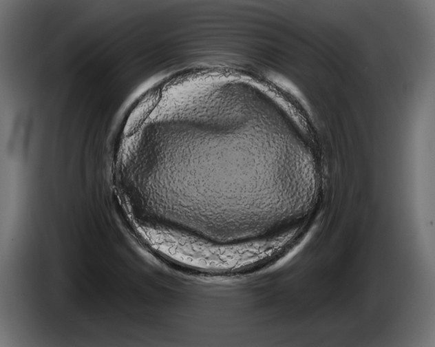 X0000084581114200703231837