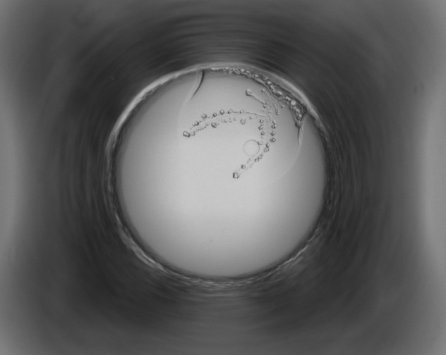 X0000084581116200703231837
