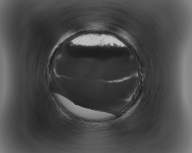 X0000084581117200703231837