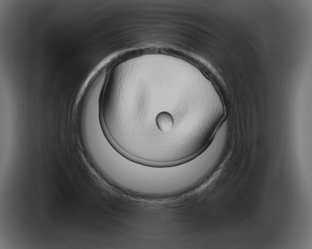 X0000084581118200703231837