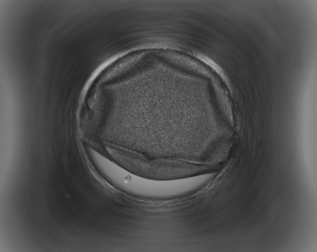 X0000084581120200703231837