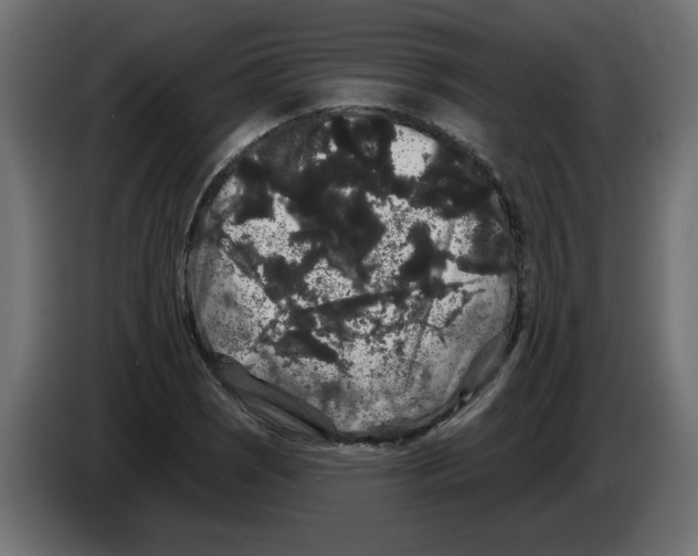 X0000084581121200703231837