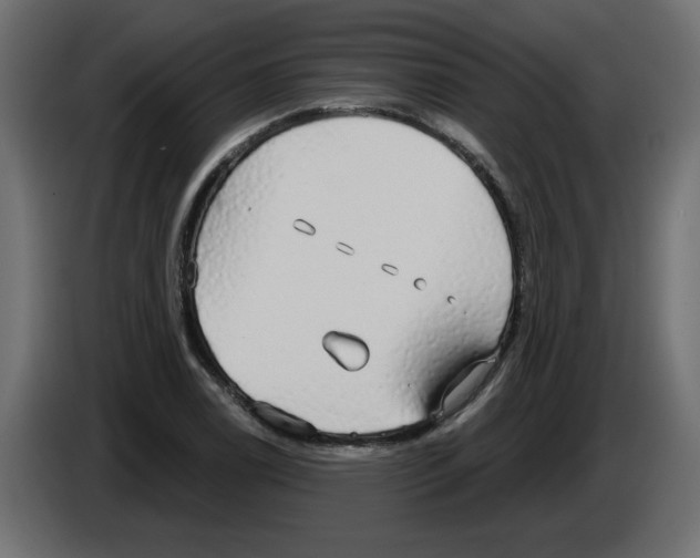 X0000084581122200703231837