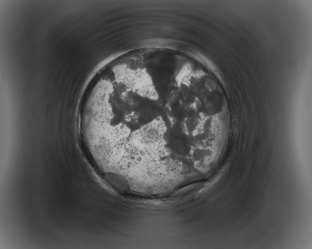 X0000084581125200703231837