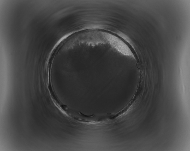X0000084581127200703231837