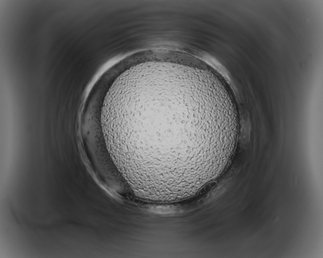 X0000084581128200703231837