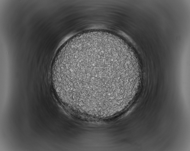 X0000084581129200703231837