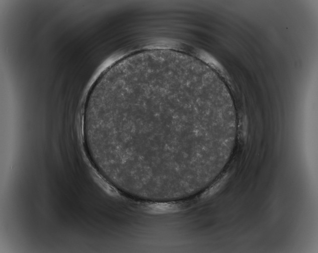 X0000084581130200703231837
