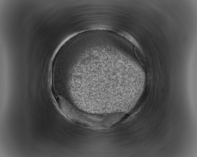 X0000084581132200703231837