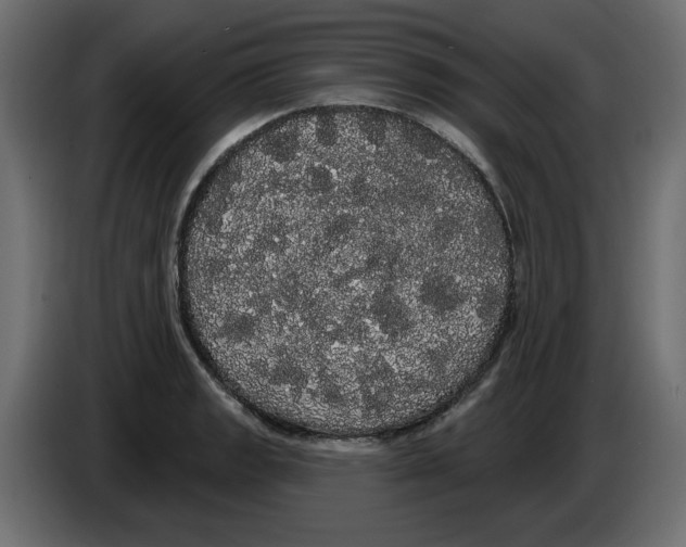 X0000084581133200703231837