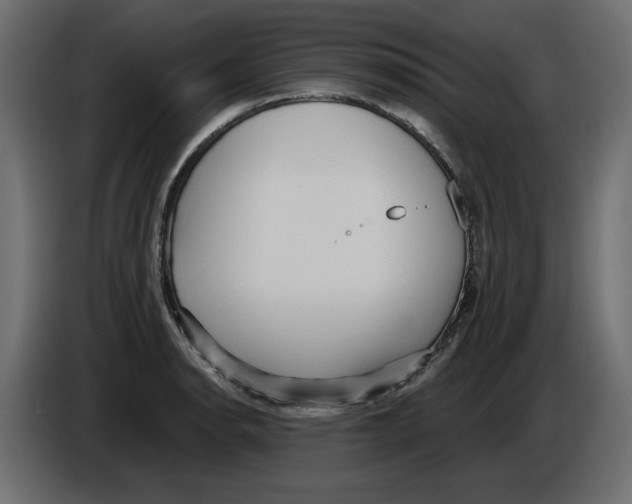 X0000084581134200703231837